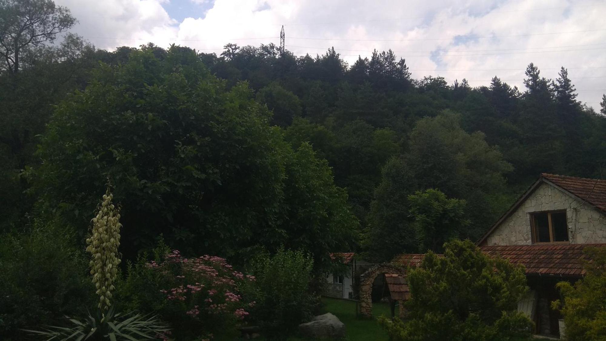 Eco Garden Bed & Breakfast Dilijan Bagian luar foto