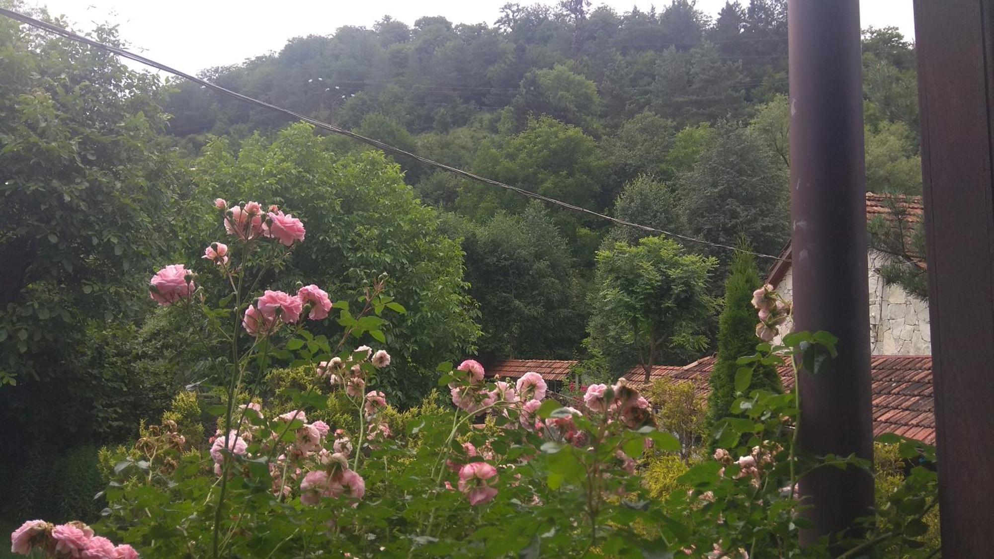 Eco Garden Bed & Breakfast Dilijan Bagian luar foto