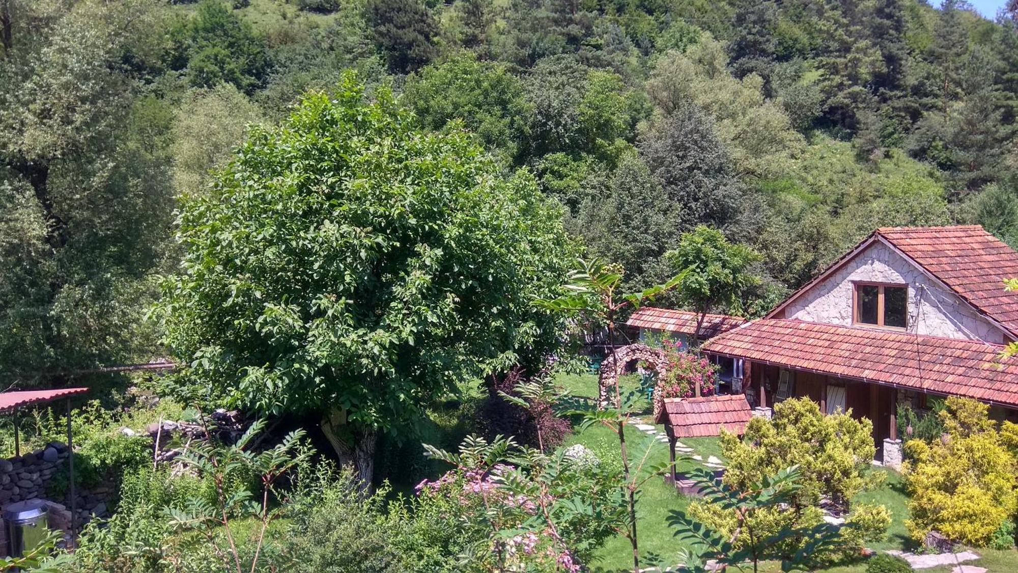 Eco Garden Bed & Breakfast Dilijan Bagian luar foto